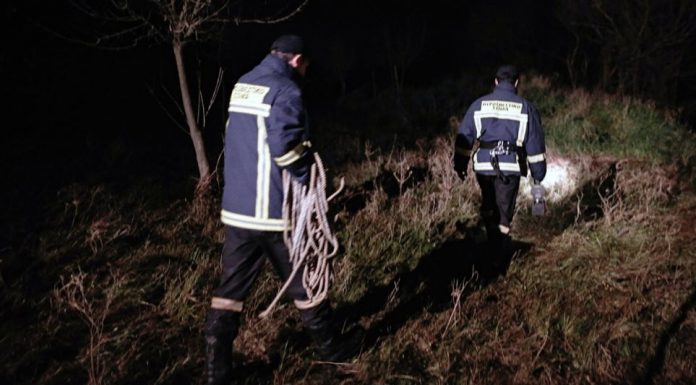  Εξαφανίστηκαν δύο νεαροί που βγήκαν να μαζέψουν μανιτάρια – κινητοποίηση της Πυροσβεστικής