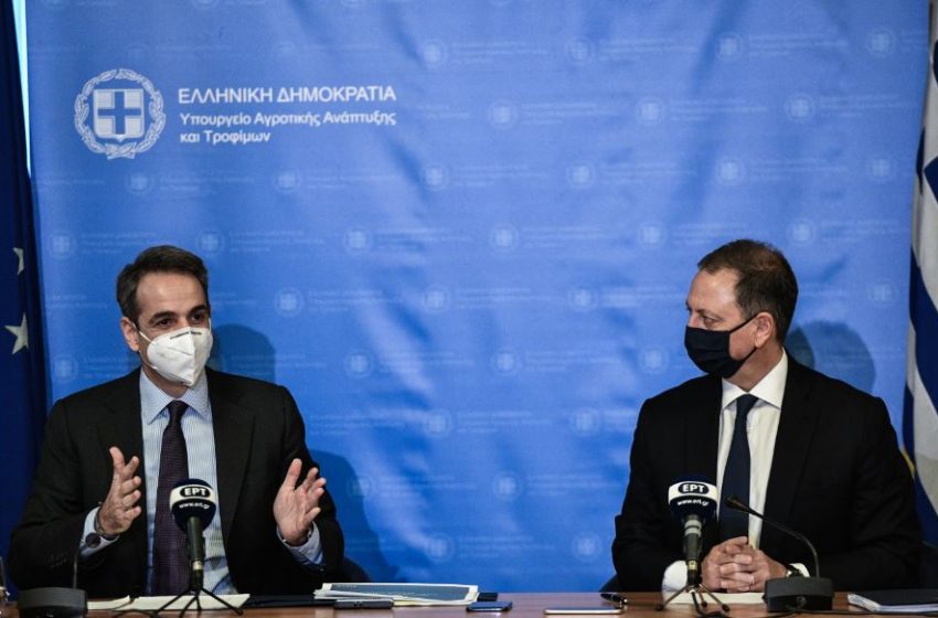  Μητσοτάκης: Ο πρωτογενής τομέας, κεντρικός πυλώνας της αναπτυξιακής στρατηγικής για την επόμενη δεκαετία (vid)