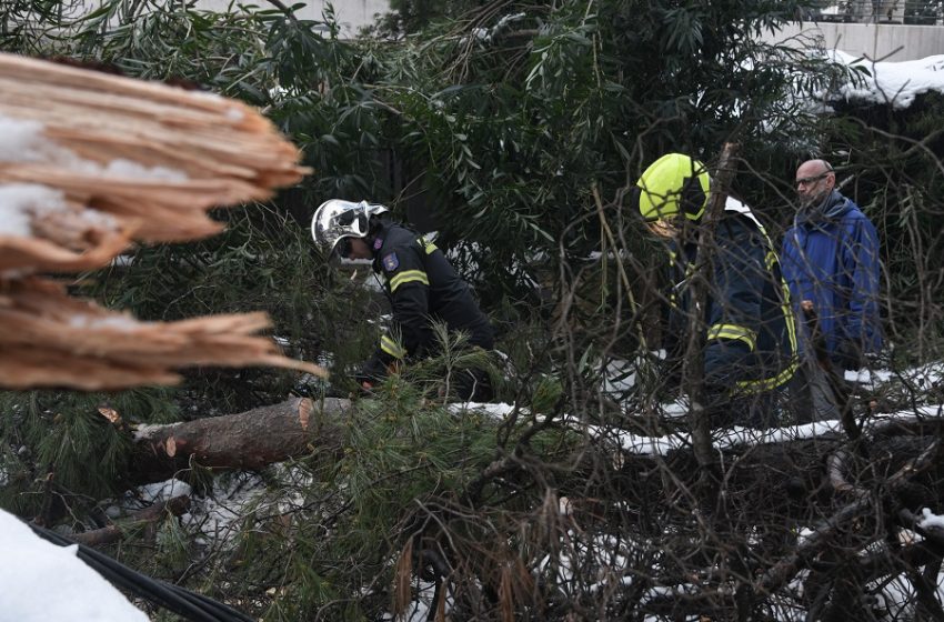  Πάρνηθα: Ορειβάτης ανασύρθηκε χωρίς τις αισθήσεις του