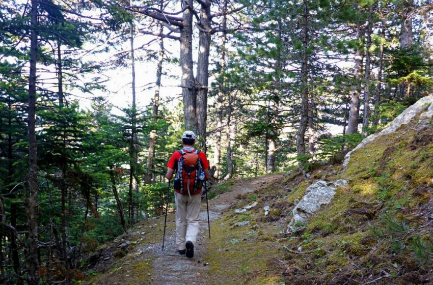  Πρόστιμο 5.000 ευρώ γιατί έκανε πεζοπορία στο Πήλιο!