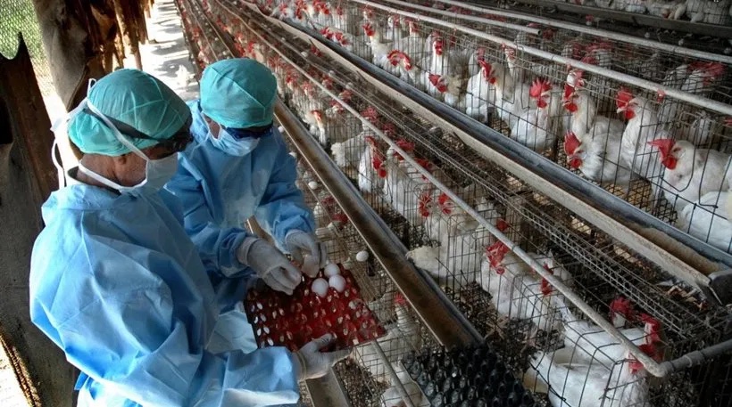  Καταγράφηκε το πρώτο περιστατικό ανθρώπινης μόλυνσης με την γρίπη των πτηνών στην Ρωσία