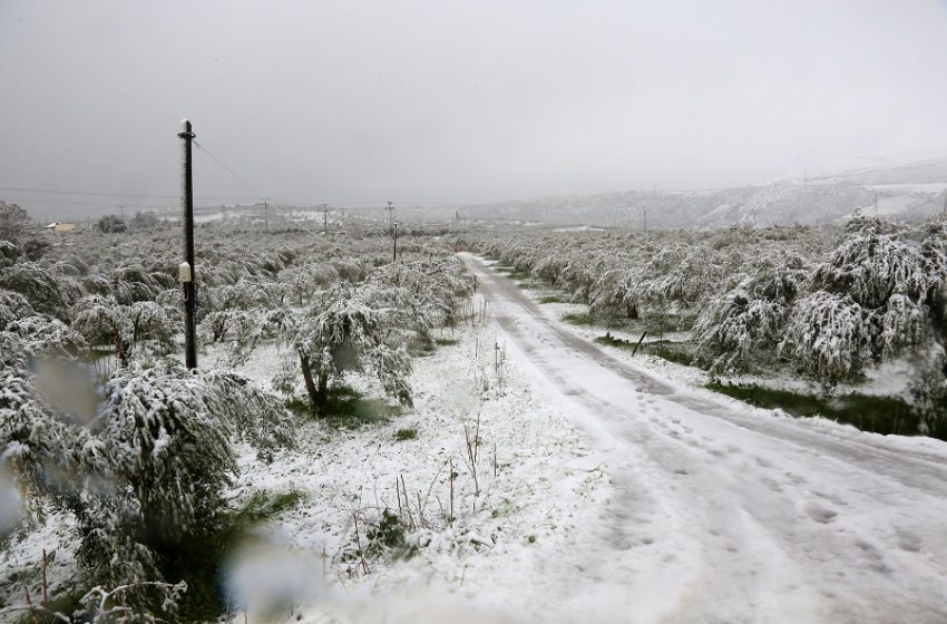  Νεκρός από την κακοκαιρία στην Κρήτη