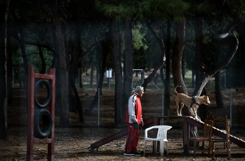  Νέες διευκρινίσεις Σταμπουλίδη για τη μετακίνηση από Δήμο σε Δήμο – Τι ισχύει για τον “κόφτη” στο sms “6”