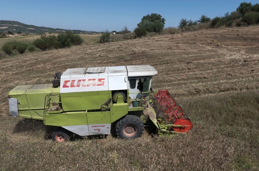  Ένας 18χρονος  μαθητής, ο “επίσημος” μετεωρολόγος των αγροτών στα Γιαννιτσά