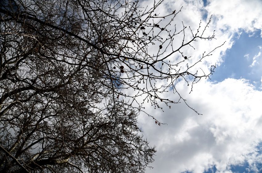  Στη μισή Ελλάδα χειμώνας στην άλλη μισή άνοιξη (vid)