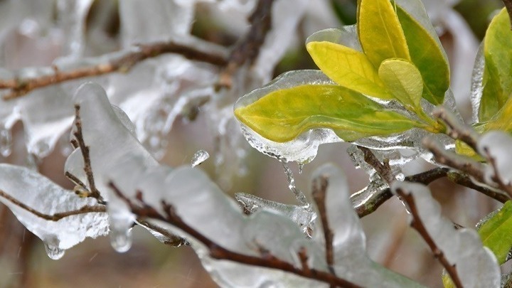  Ισχυρός παγετός: Στους -9,4 “κατέβηκε” το θερμόμετρο στη Βλάστη Κοζάνης