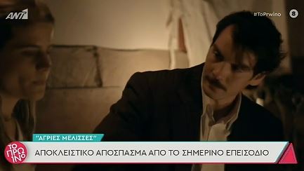  Άγριες Μέλισσες spoiler: Ανατρέπονται τα πάντα