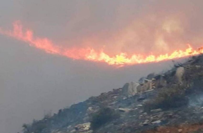  Ενισχύονται οι πυροσβεστικές δυνάμεις στην Άνδρο – Πήρε διαστάσεις η φωτιά