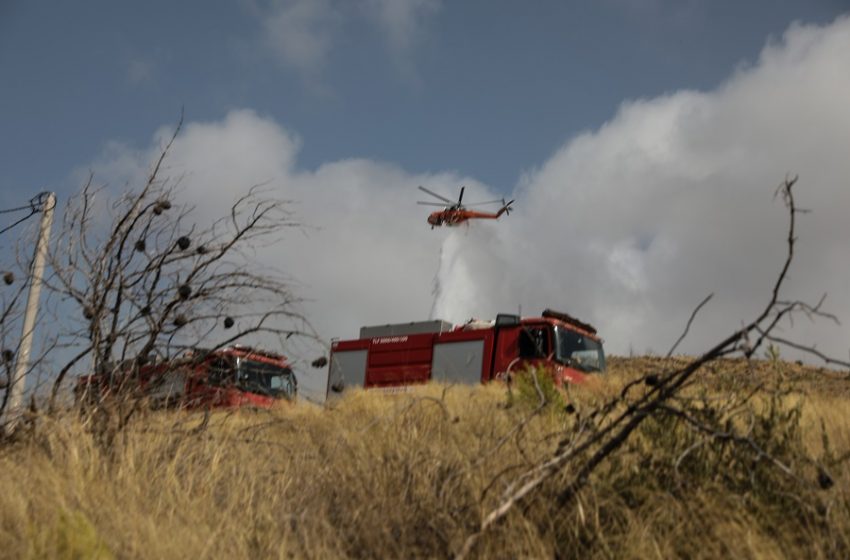  Κορωπί: Πυρκαγιά στην Αγία Μαρίνα