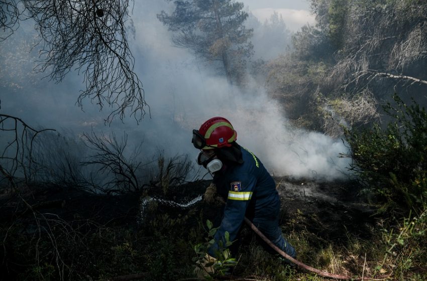  Φθιώτιδα: Φωτιά απειλεί σπίτια – Διακοπή κυκλοφορίας στην εθνική οδό