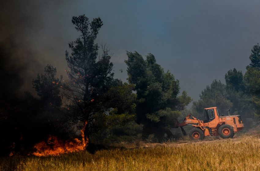  Φωτιά στην Κέα – Στέλνονται ενισχύσεις από το Λαύριο