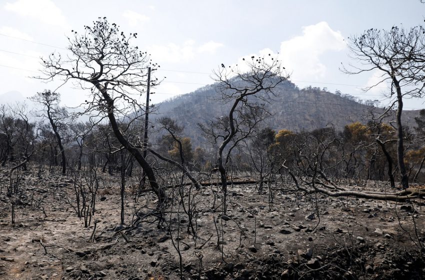  Σπίρτζης: Επικοινωνιακό σόου Μητσοτάκη-Χρυσοχοΐδη-Χαρδαλιά πάνω στα αποκαΐδια