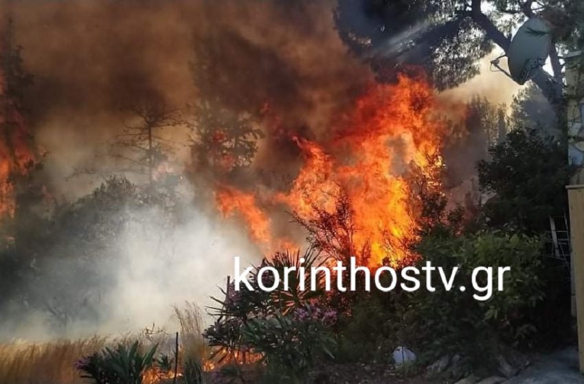  Συναγερμός σε Ίσθμια και Μακρακώμη για δυο μεγάλες φωτιές – Δίπλα σε σπίτια οι φλόγες – Έκλεισαν δρόμοι (vid)