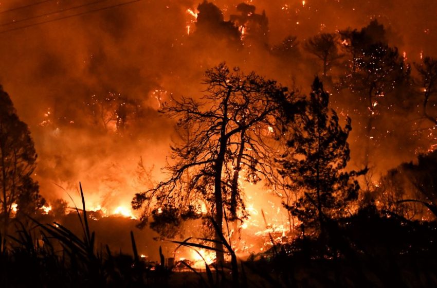  Φωτιά στο Σχίνο: Ερευνάται το ενδεχόμενο εμπρησμού – Κάηκαν 20.000 στρέμματα δάσους (εικόνες)