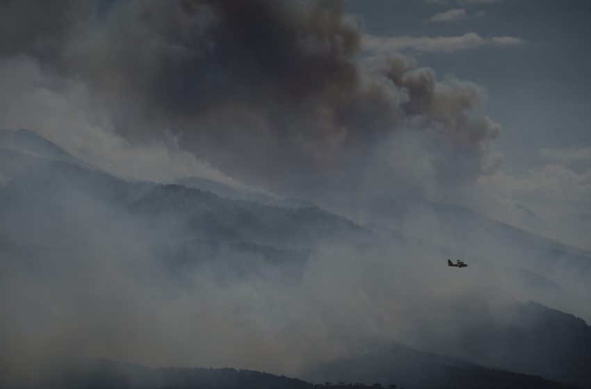  Όλεθρος στα Γεράνεια Όρη: 40.000 στρέμματα στάχτη και η φωτιά συνεχίζει την καταστροφή – Χαρδαλιάς: Έσχατη λύση το 112 (vid, εικόνες)