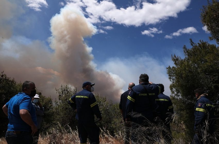  Φωτιά στο Σχίνο: Εδώ ξεκίνησε η καταστροφική πυρκαγιά (vid)