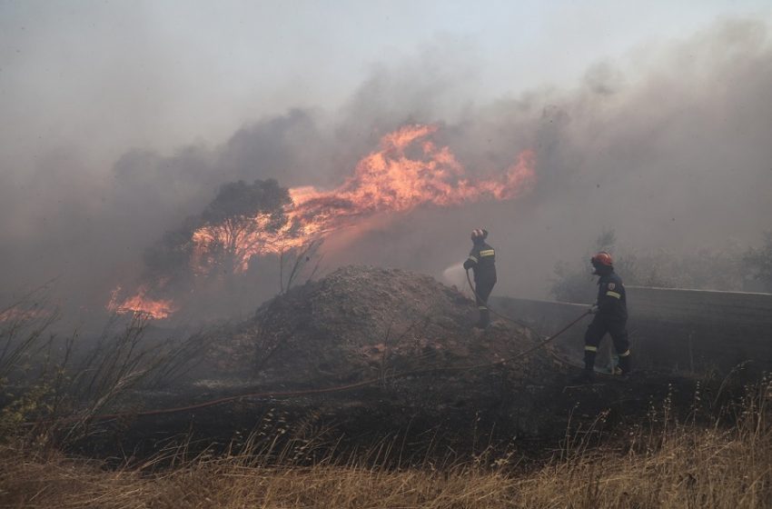  Οριοθετήθηκε η φωτιά στην περιοχή Σμέρνα της Ηλείας