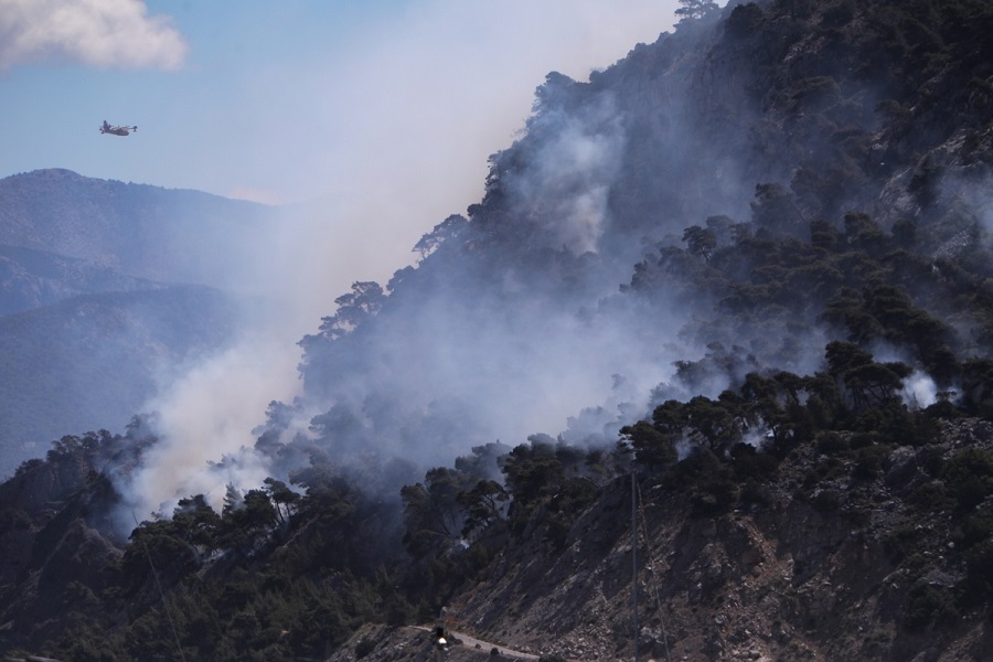 photo 21 5 21 14 19 461621587100