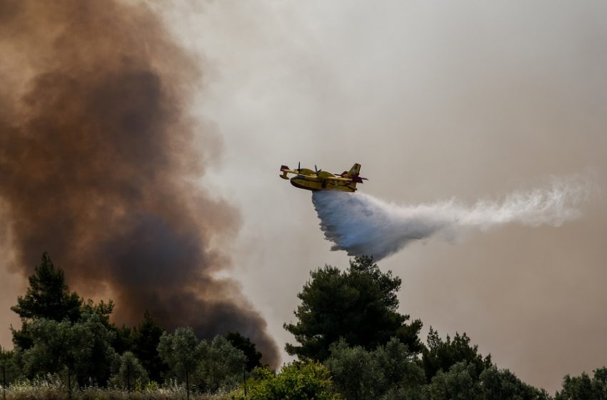  Πυρκαγιά σε δασική έκταση στους Αγίους Θεοδώρους – Πνέουν ισχυροί άνεμοι