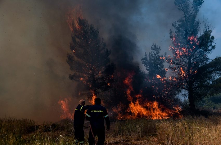  Κρήτη: Μεγάλη φωτιά στα όρια των νομών Ηρακλείου – Λασιθίου