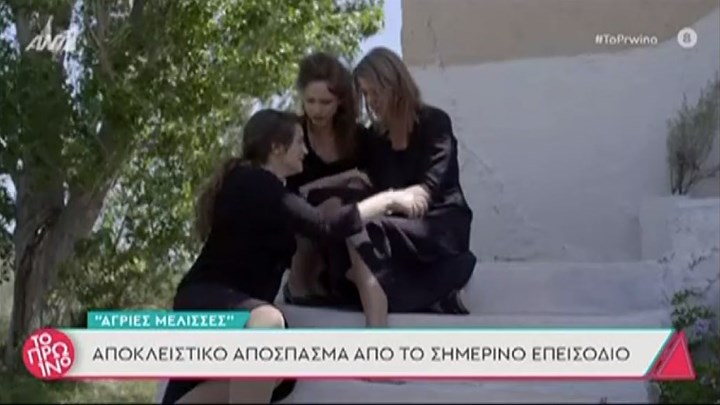  Άγριες Μέλισσες: Απόψε το συγκλονιστικό τελευταίο επεισόδιο – Spoiler για τη νέα σεζόν