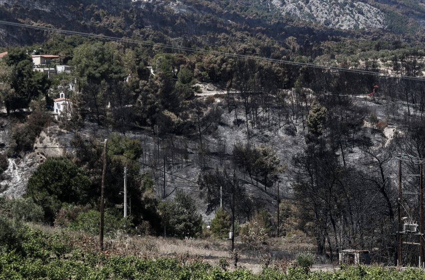  Υπό έλεγχο η πυρκαγιά σε υπαίθριο χώρο στο Νέο Βουτζά