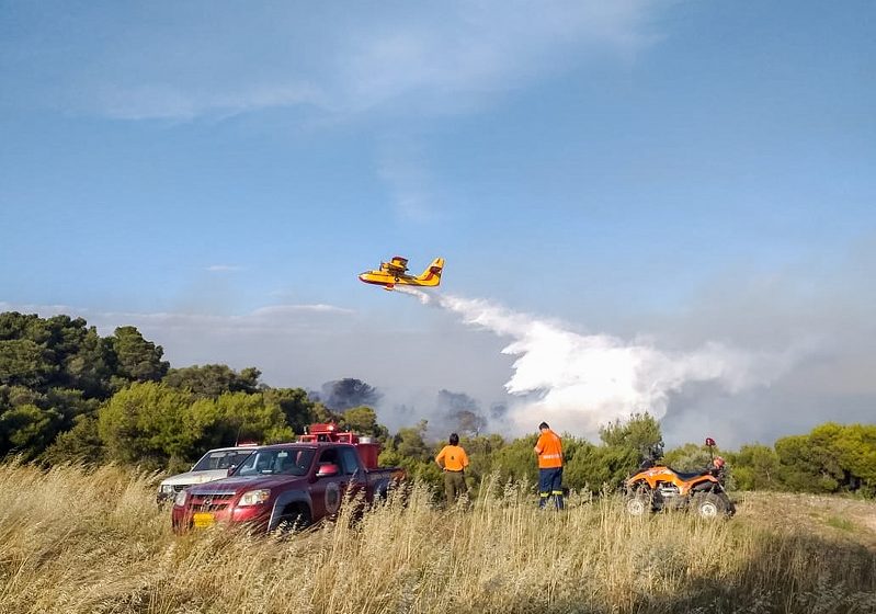  Πυρκαγιά σε δασική έκταση στην Βραυρώνα Αττικής – Δεν απειλείται κατοικημένη περιοχή