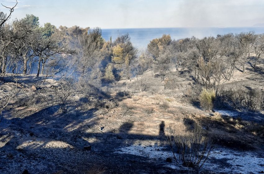  Υπό έλεγχο η πυρκαγιά στα Καλύβια