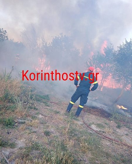  Φωτιά στο Κιάτο κοντά σε κατοικημένη περιοχή (vid)