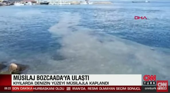  Θαλάσσια βλέννα στο Μαρμαρά: Κίνδυνος και για τα ελληνικά νησιά (vid)