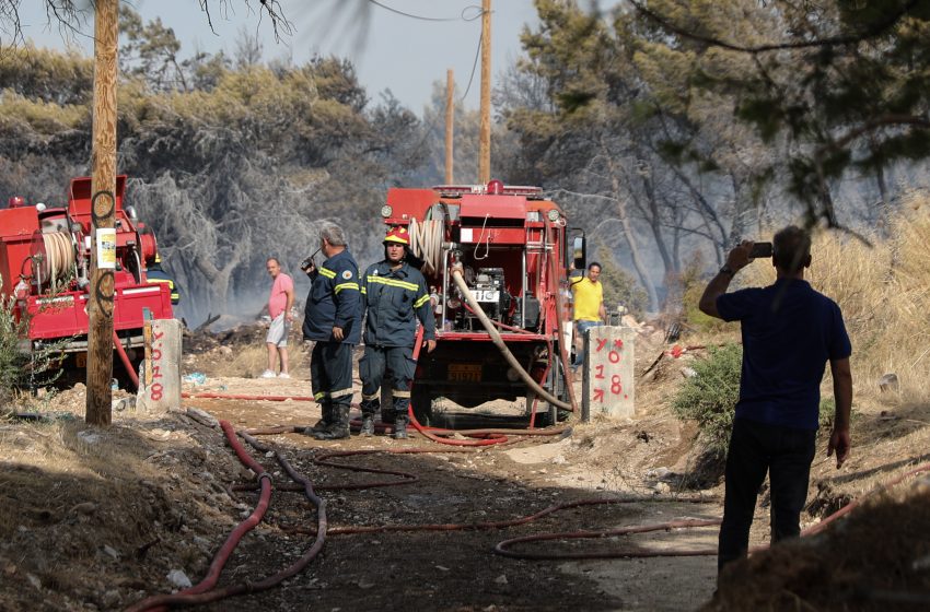  Φωτιά στη Βρύναινα Μαγνησίας -Συναγερμός στην Πυροσβεστική