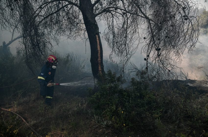  Πυρκαγιά στο Μαρκόπουλο Ωρωπού -Έσβησαν οι φωτιές από κεραυνούς σε Πάρνηθα και Πεντέλη