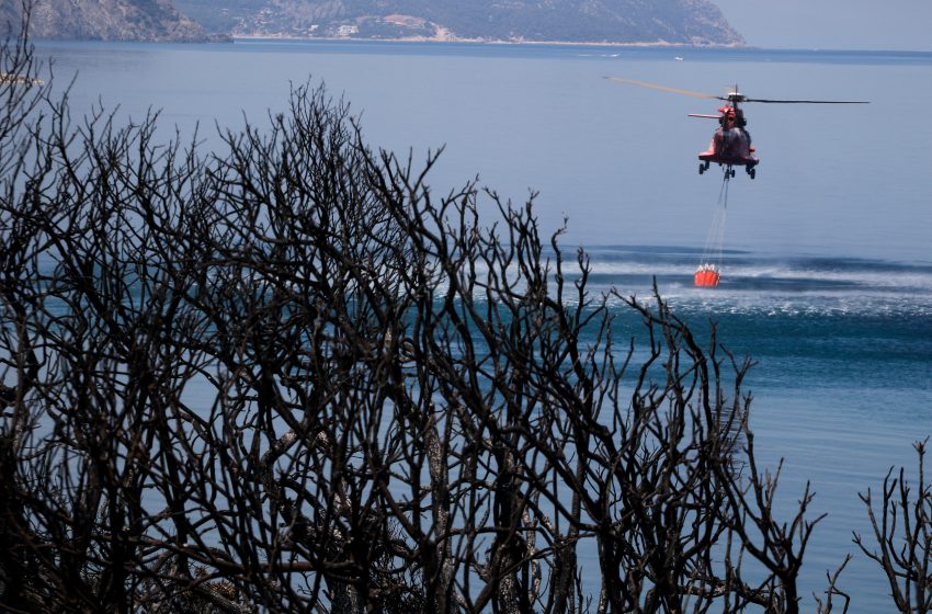  Φωτιά σε δασική έκταση στον Κάλαμο