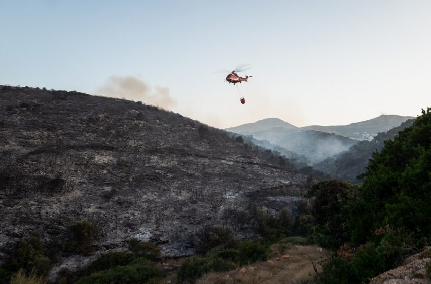  Φωτιά ξέσπασε στον Διόνυσο Αττικής