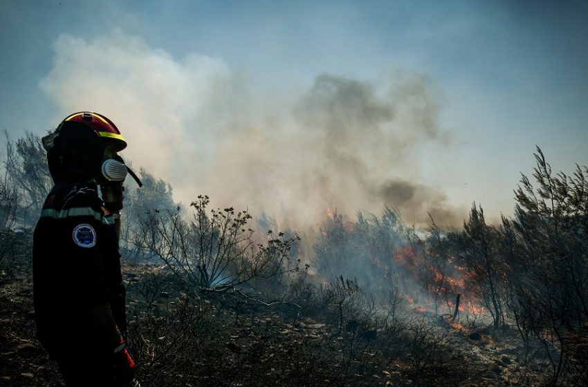  Εύβοια: Νέα φωτιά στο Βασιλικό