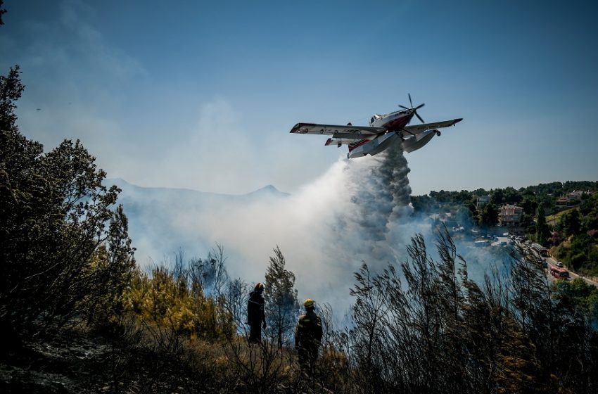  Υπό έλεγχο η πυρκαγιά στα Στύρα Ευβοίας