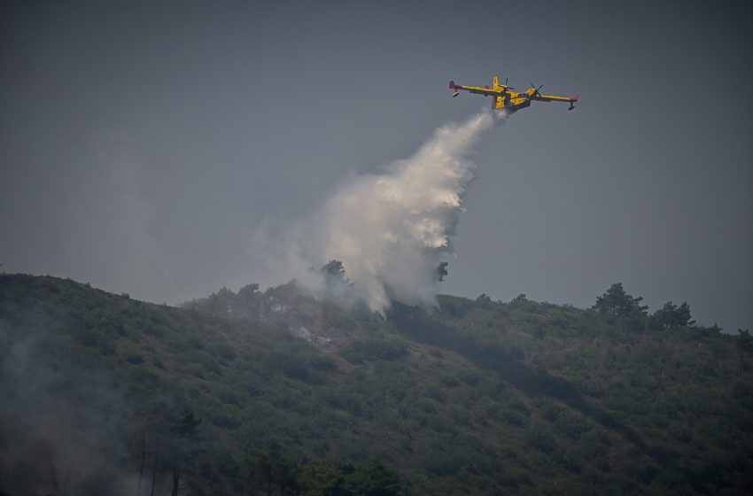  Υψηλός κίνδυνος φωτιάς σε Μεσσηνία, Λακωνία, Κύθηρα και Χανιά το Σάββατο