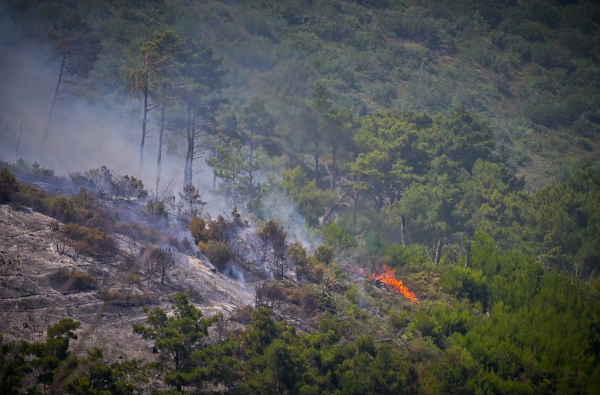  Φωτιά στο Ωραιόκαστρο: Ενισχύονται οι δυνάμεις της πυροσβεστικής