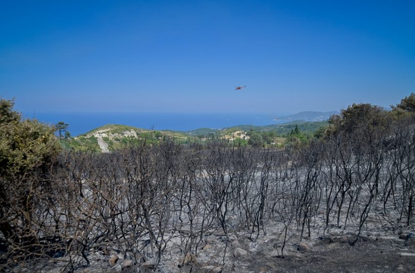  Υπό πλήρη έλεγχο η πυρκαγιά στη Σάμο