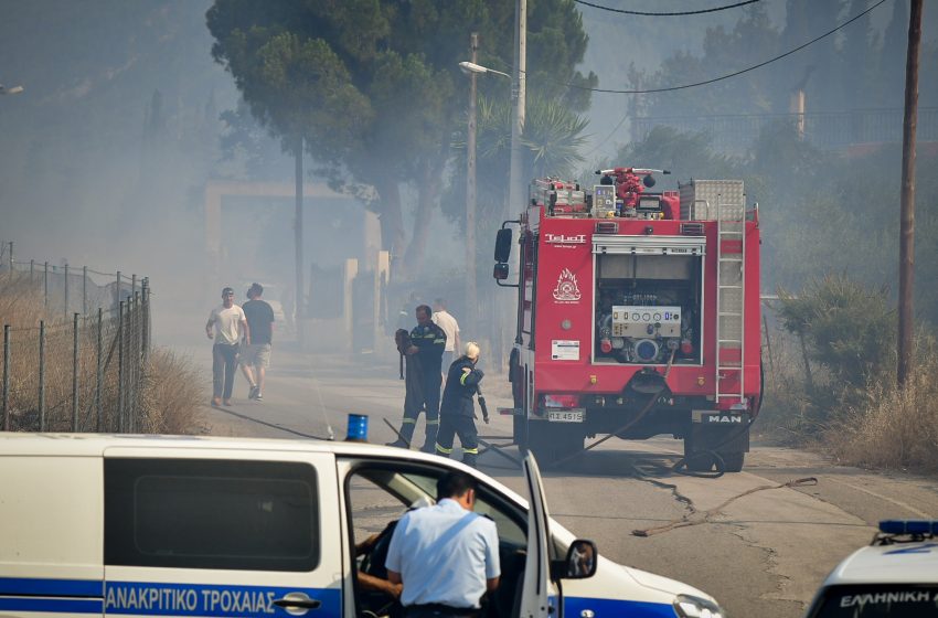  Φωτιά στην Ερμιονίδα Αργολίδας