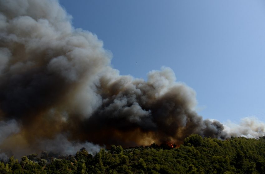  ΚΙΝΑΛ: Μεγάλες οι ευθύνες της κυβέρνησης για τις φωτιές