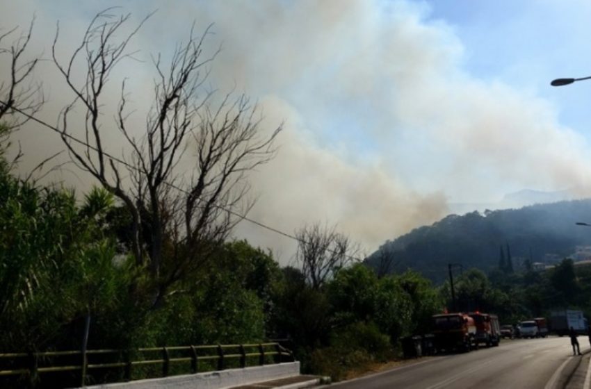  Πυροσβεστική: Η εκτίμηση για την φωτιά στην Σάμο