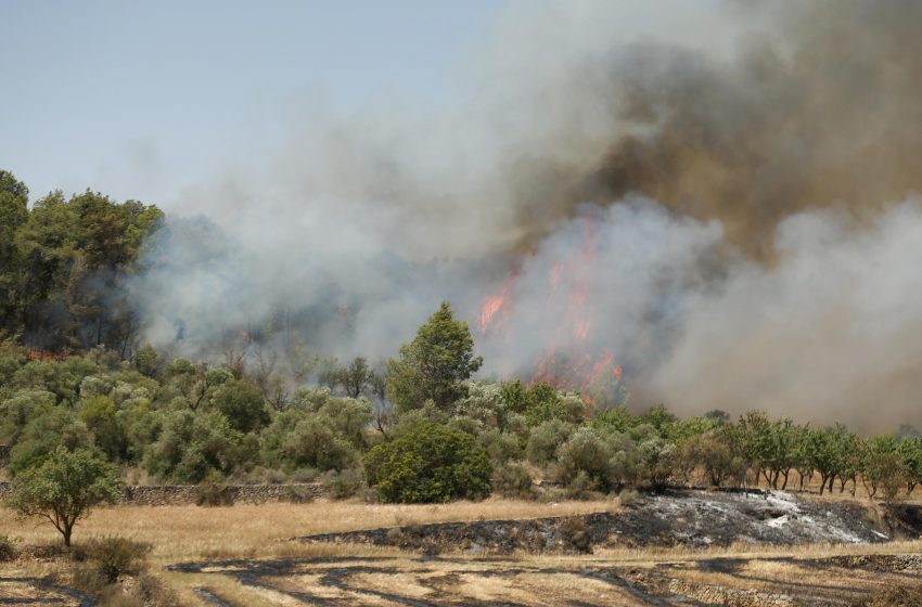  Πυρκαγιά καίει φυσικό πάρκο στην Καταλονία – 350 άνθρωποι εγκατέλειψαν τις εστίες τους