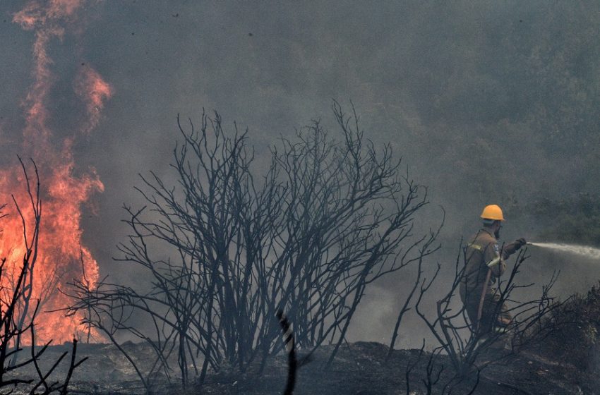  Φωτιά στη Ζήρια: Συνέλαβαν άνδρα για εμπρησμό από αμέλεια