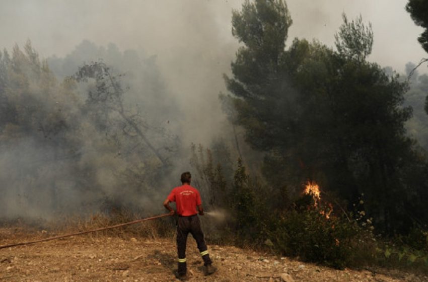  Φωτιά στη Δροσιά Αχαΐας – Εκκενώνεται χωριό