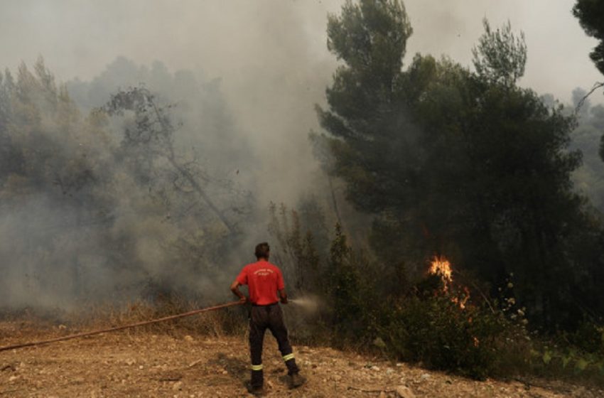  Φωτιά στην Ανάβυσσο Αττικής – Στη μάχη επίγειες και εναέριες δυνάμεις