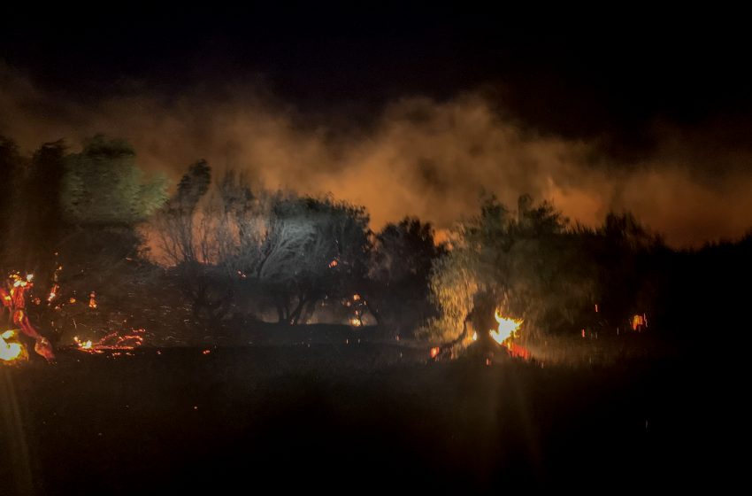  Κεφαλονιά: Σε εξέλιξη τα πύρινα μέτωπα – Ολονύχτια μάχη- Εκκενώθηκαν Αγία Ειρήνη και Καπανδρίτι