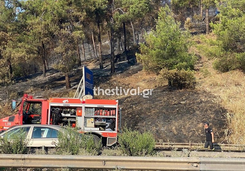  Θεσσαλονίκη: Κάηκαν 90 στρέμματα από τη φωτιά στο Σέιχ Σου