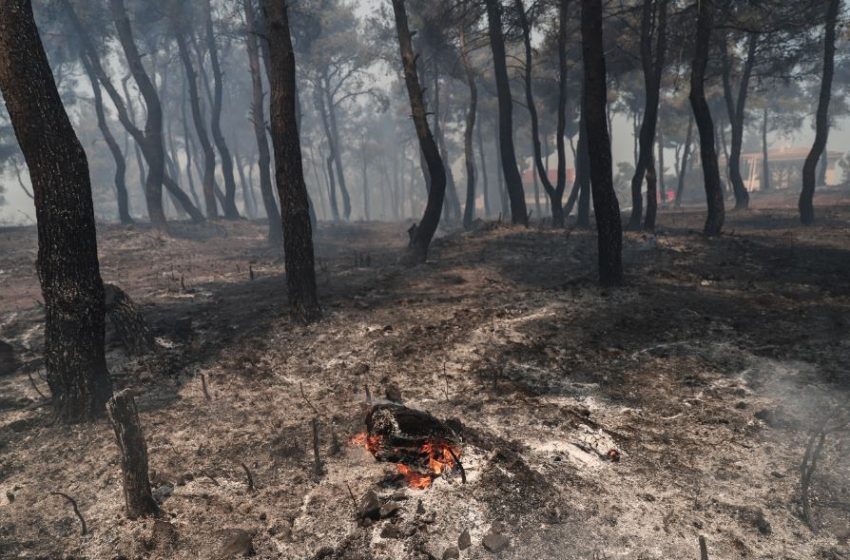  Μeteo για Σταμάτα: Επικίνδυνες οι επόμενες ώρες, ενισχύονται οι άνεμοι (εικόνες)