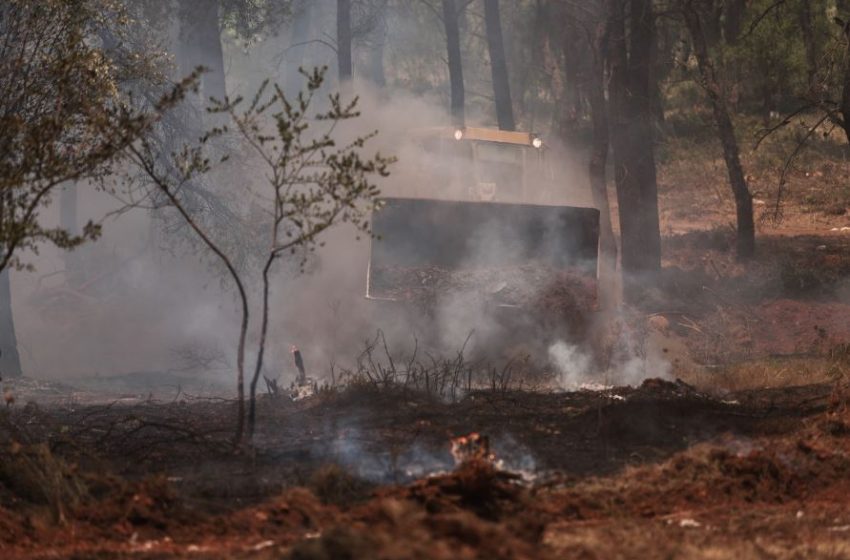  Ποινική δίωξη σε βάρος του 64χρονου μελισσοκόμου για τη φωτιά στη Σταμάτα